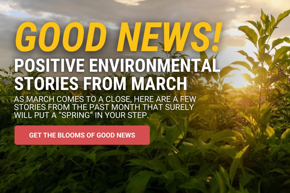 Read the Good News Stories from March