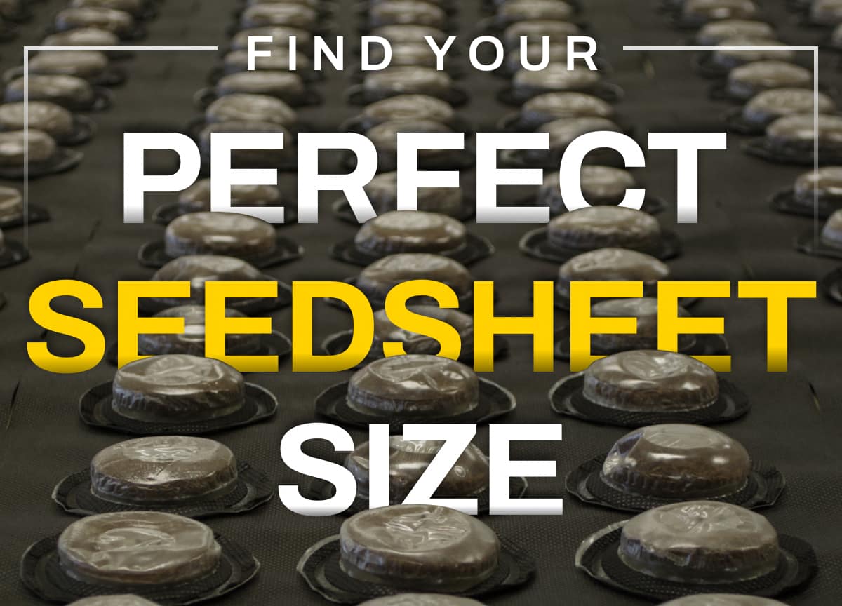 Find Your Perfect Seedsheet Size Today