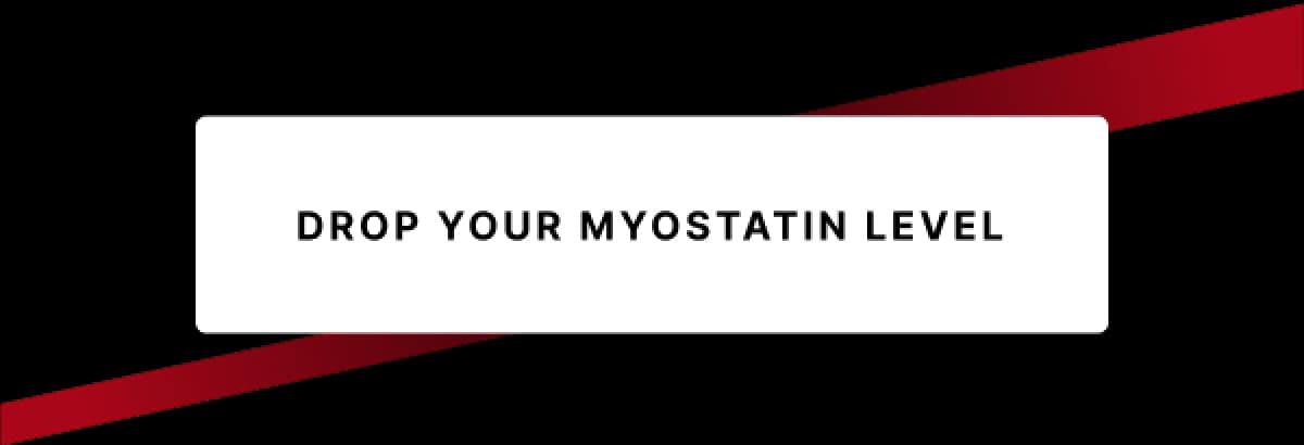 Drop Your Myostatin Level