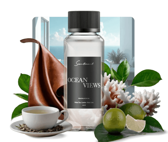 Ocean Views - Miami Discovery Set