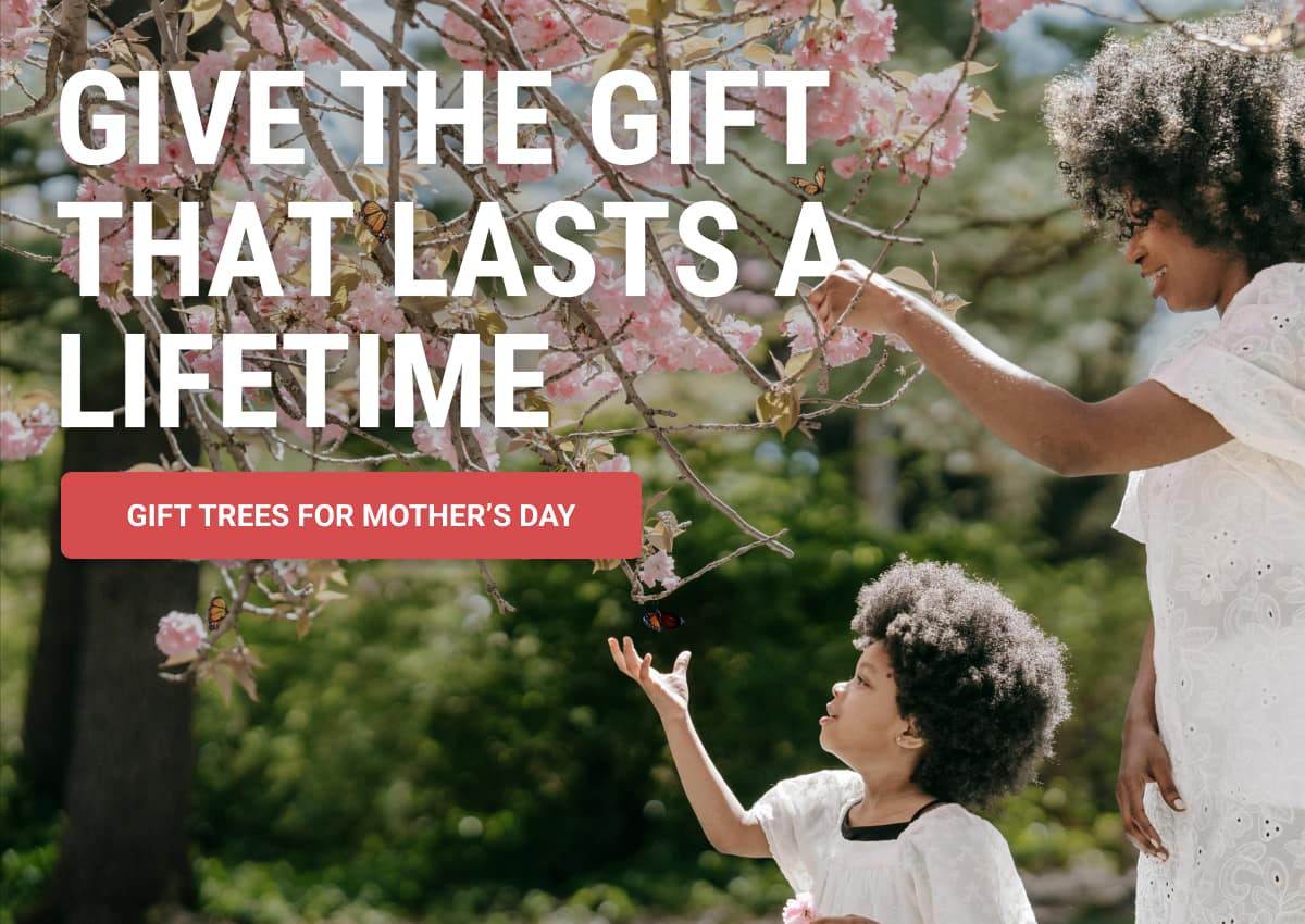 Give the Gift that Lasts a Lifetime- Gift Trees for Mother's Day