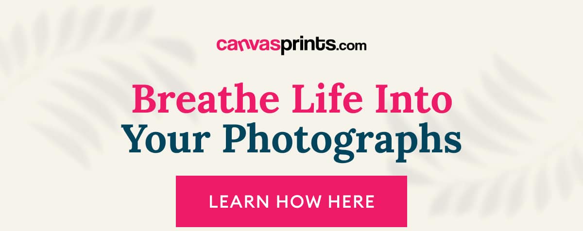 Breathe Life Into Your Photographs LEARN HOW HERE