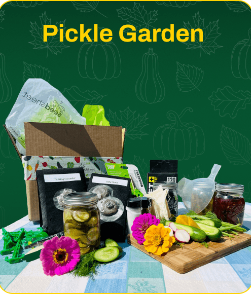 Pickle Garden