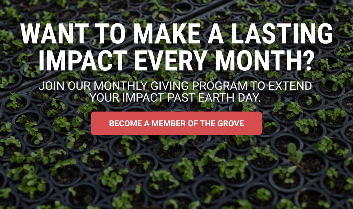 Want To Make A Lasting Impact Every Month? Join Our Monthly Giving Program