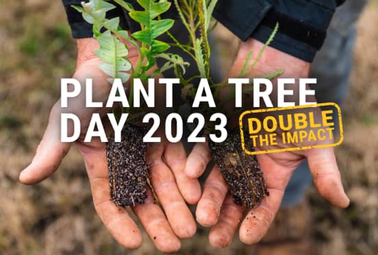 Plant a Tree Day 2023