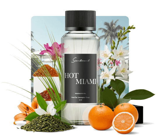 Hot Miami - Miami Discovery Set