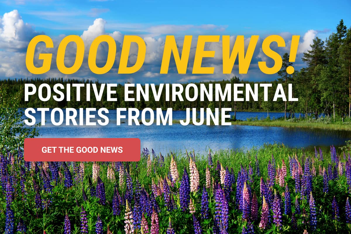 Good News! Positive Environmental Stories from June