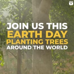 Join Us this Earth Day Planting Trees Around the World