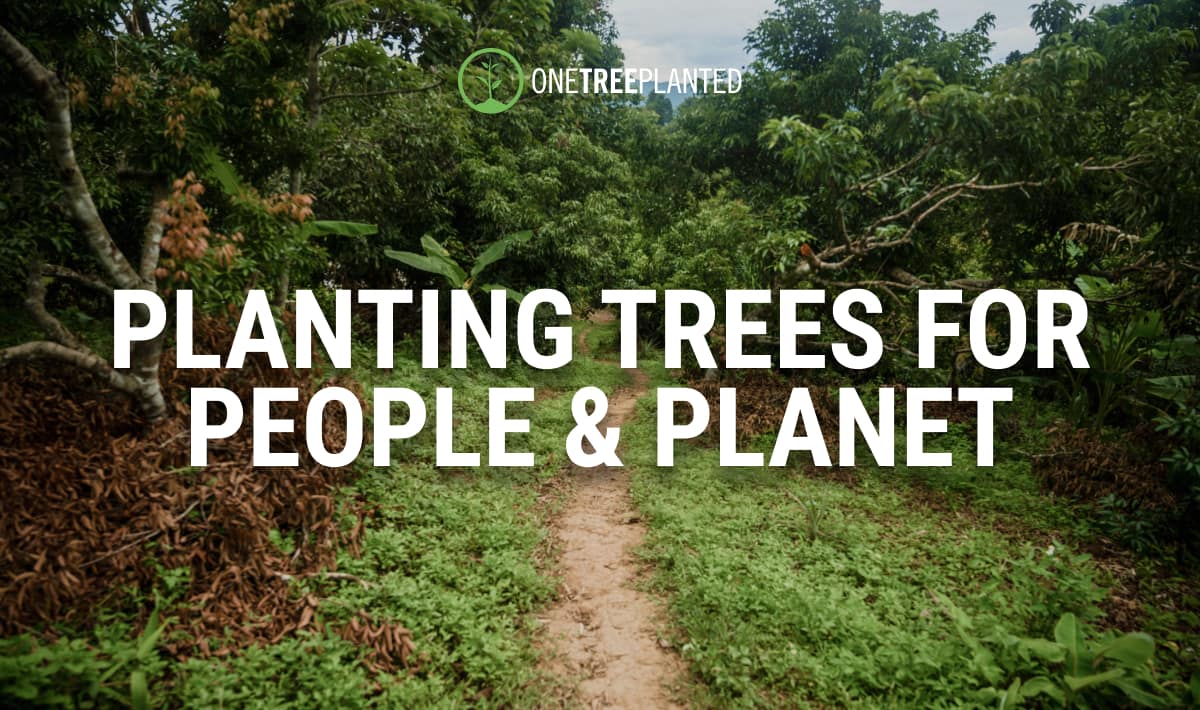 Planting Trees for People & Planet