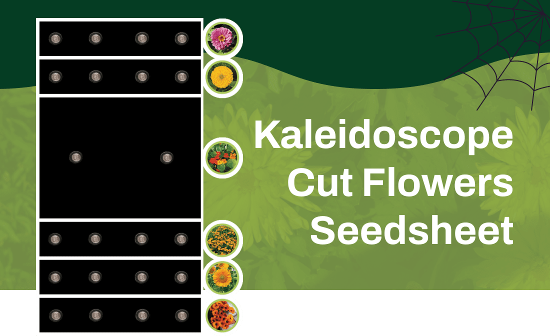 Kaleidoscope Cut Flowers Seedsheet