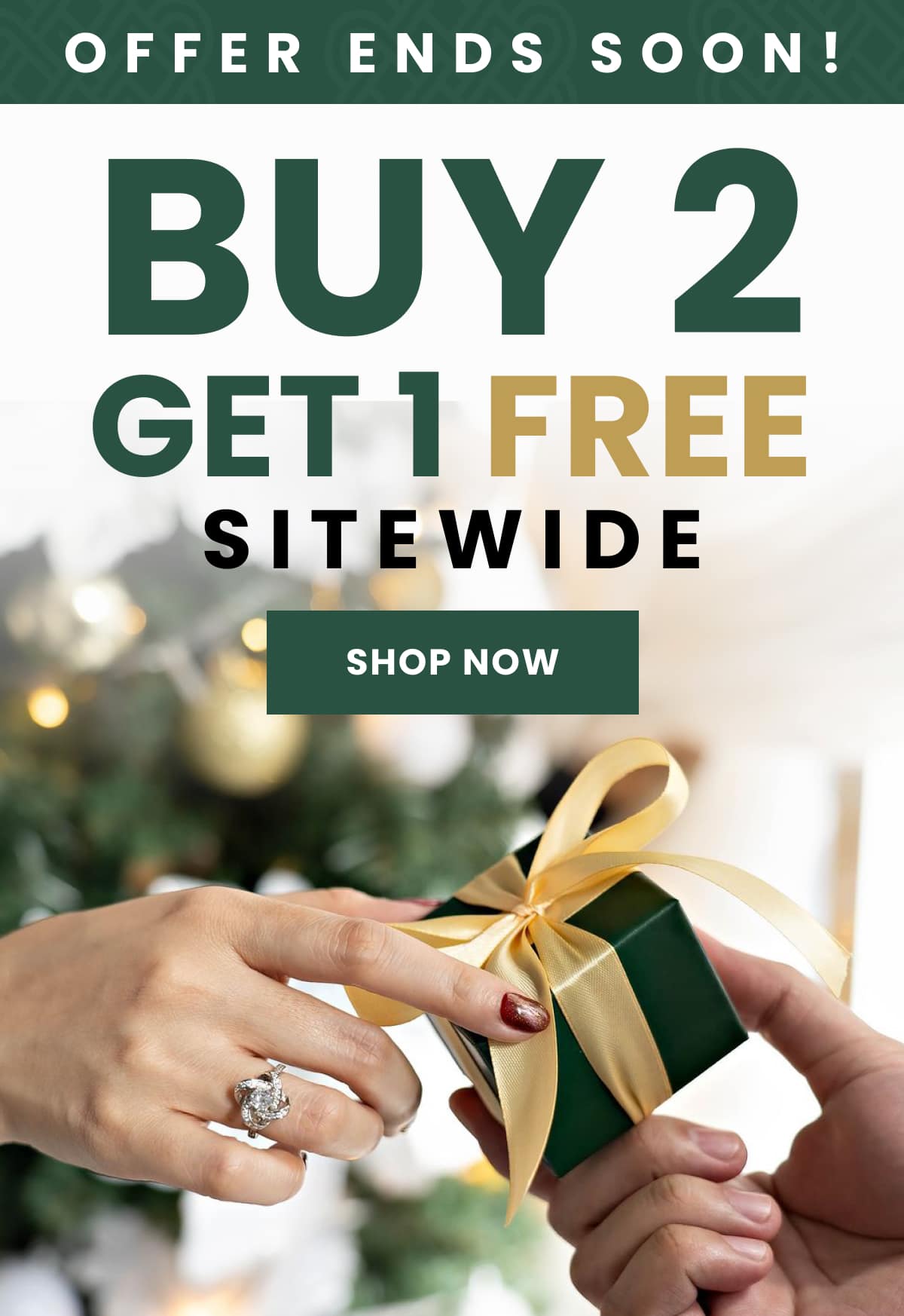 OFFER ENDS SOON! BUY 2 GET 1 FREE SITEWIDE