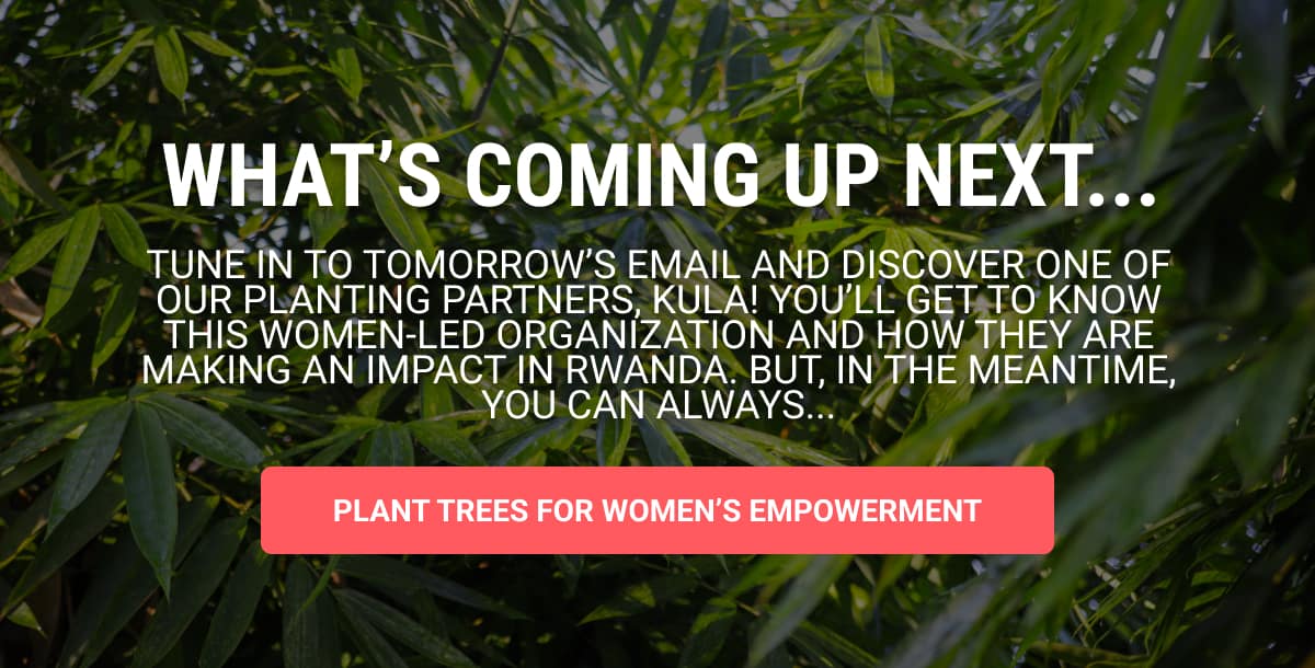 See What's Coming Up Next and Plant Trees for Women's Empowerment